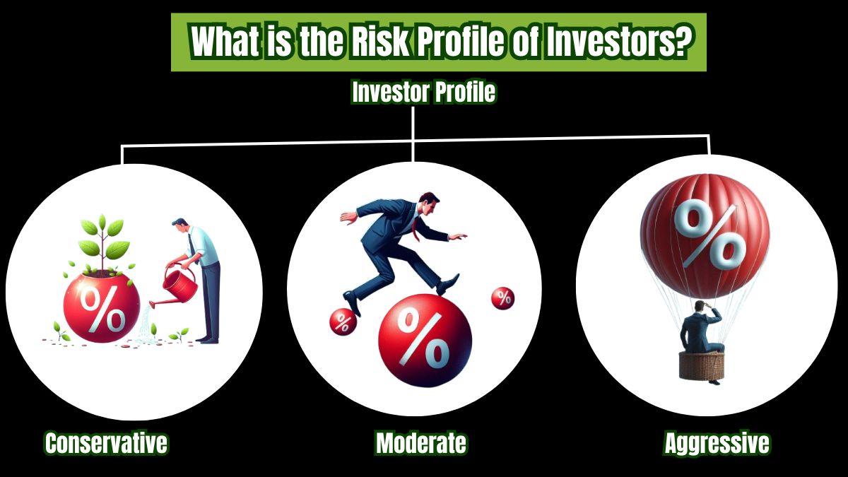 What is the Risk Profile of Investors